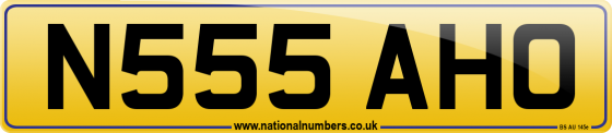 N555 AHO