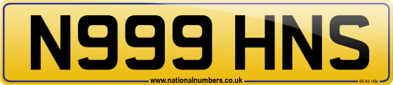 N999 HNS