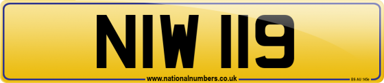 NIW 119