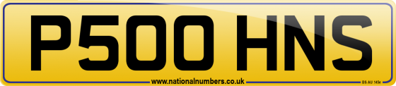 P500 HNS