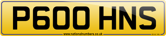 P600 HNS